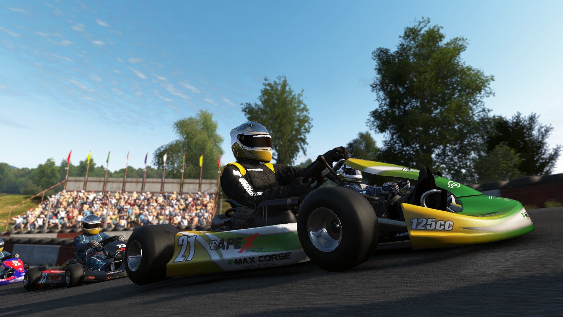 Project Cars